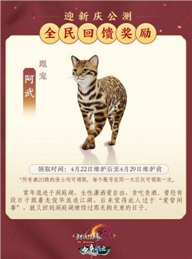 倍功天龙八部私服